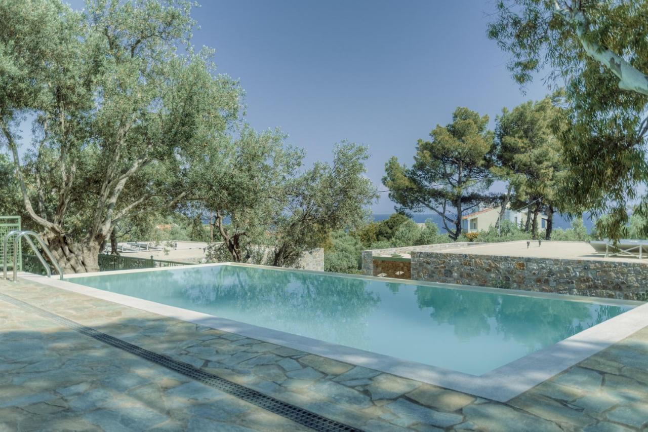 Ouzo Traditional House With Private Pool Plomari
