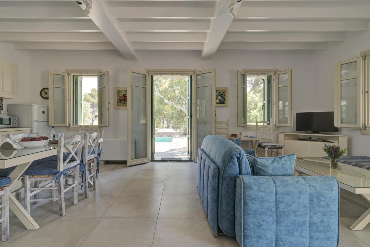 Ouzo Traditional House With Private Pool Holiday home Plomari