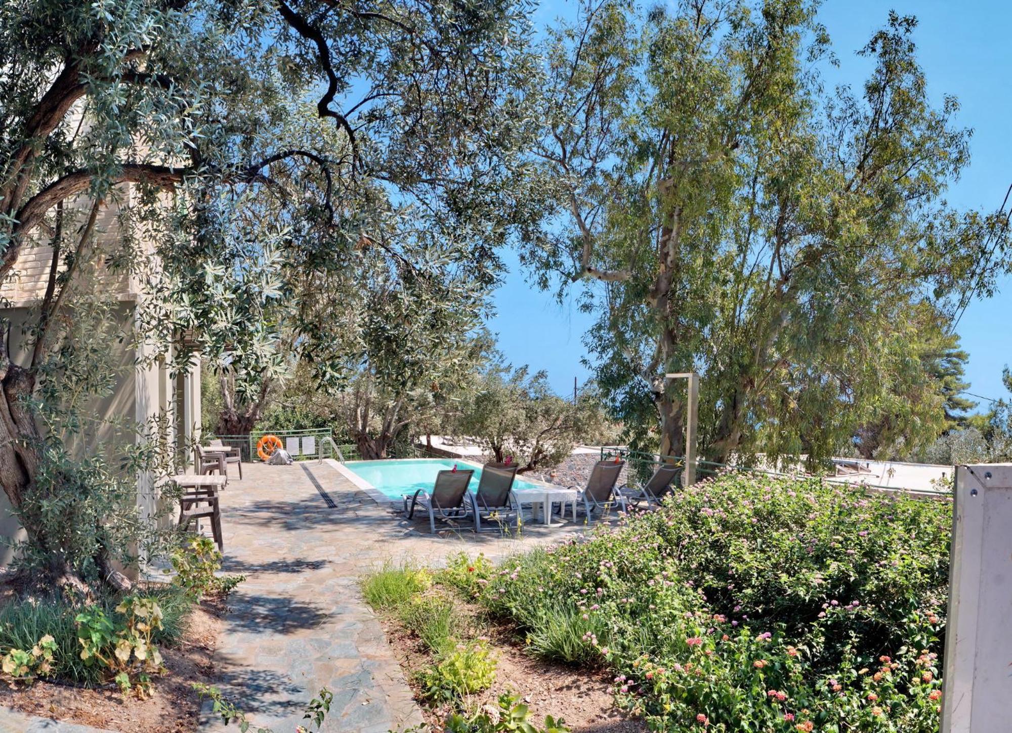 Holiday home Ouzo Traditional House With Private Pool Plomari