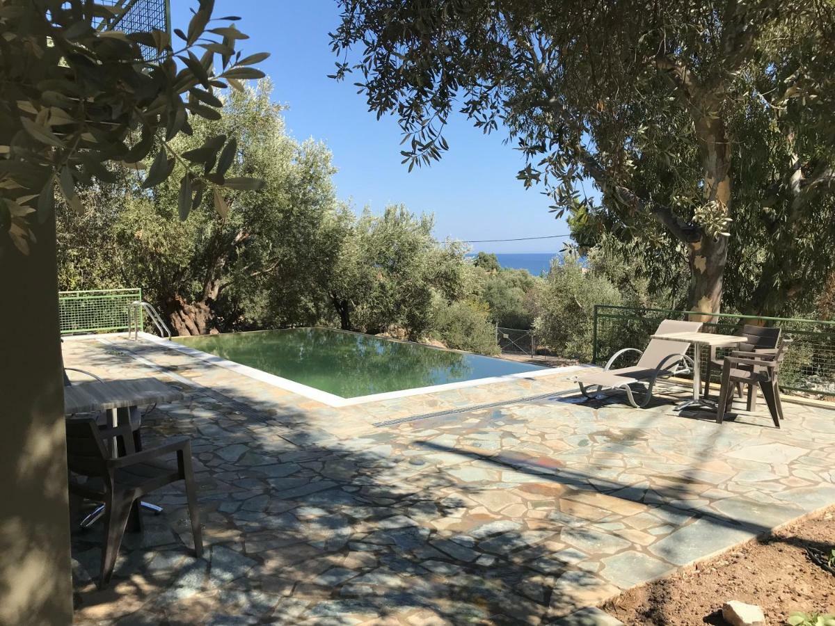 Ouzo Traditional House With Private Pool *